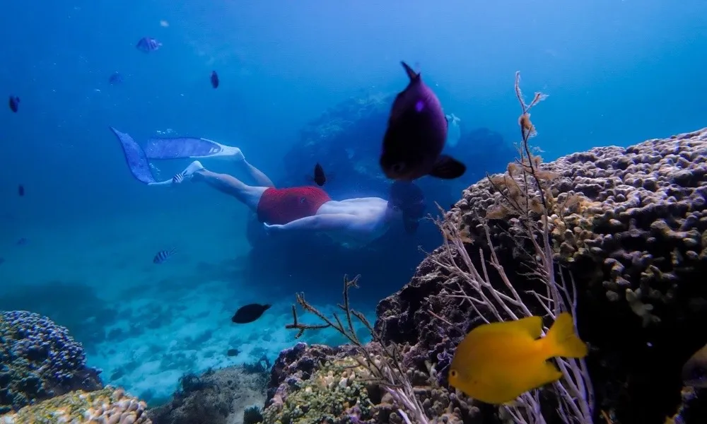 hướng dẫn freediving cho người mới Phú Quý