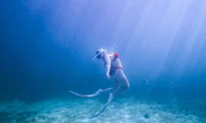 tour free diving phú quý